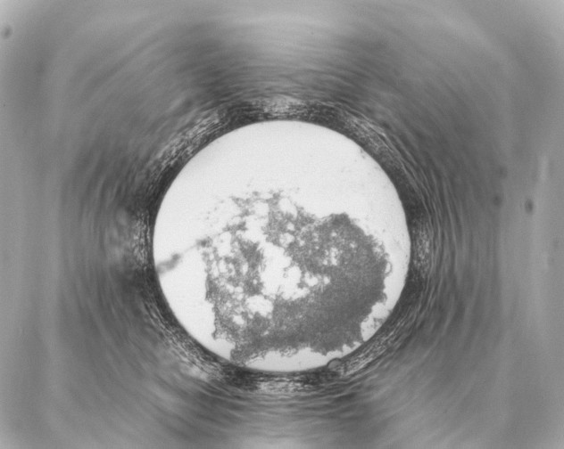 X0000087020470200705141901