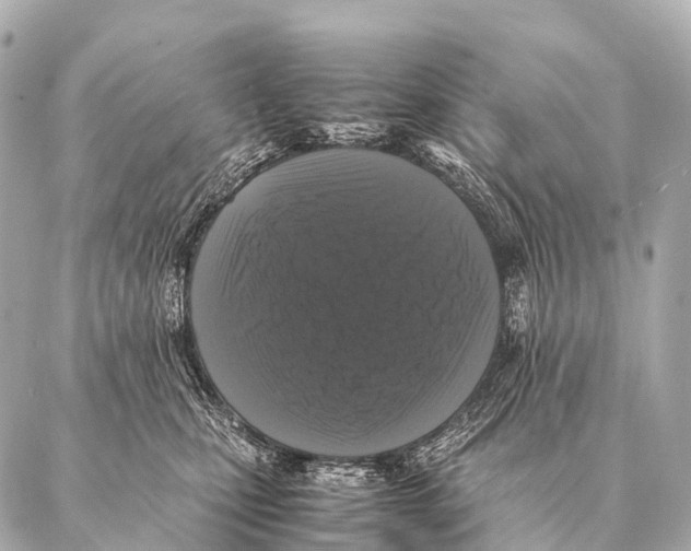 X0000087020471200705141901