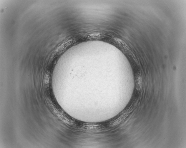 X0000087020472200705141901