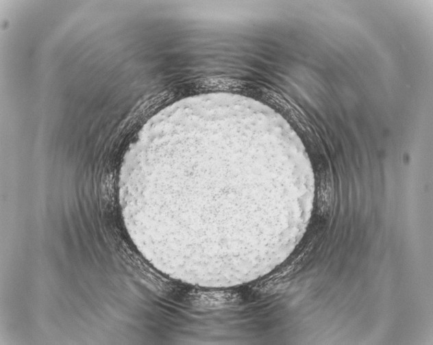 X0000087020473200705141901