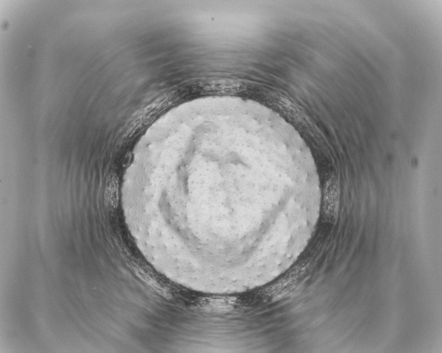 X0000087020474200705141901