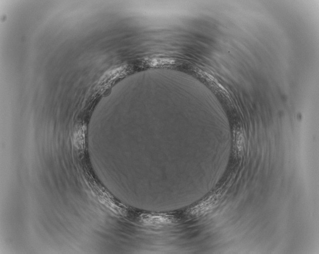 X0000087020475200705141901