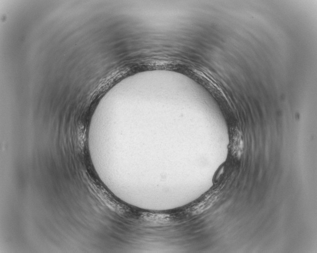 X0000087020476200705141901