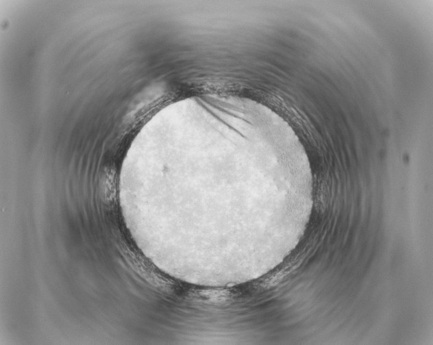 X0000087020478200705141901