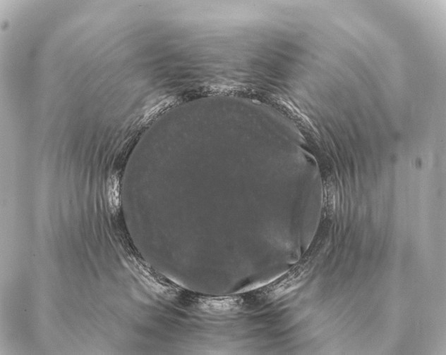 X0000087020479200705141901