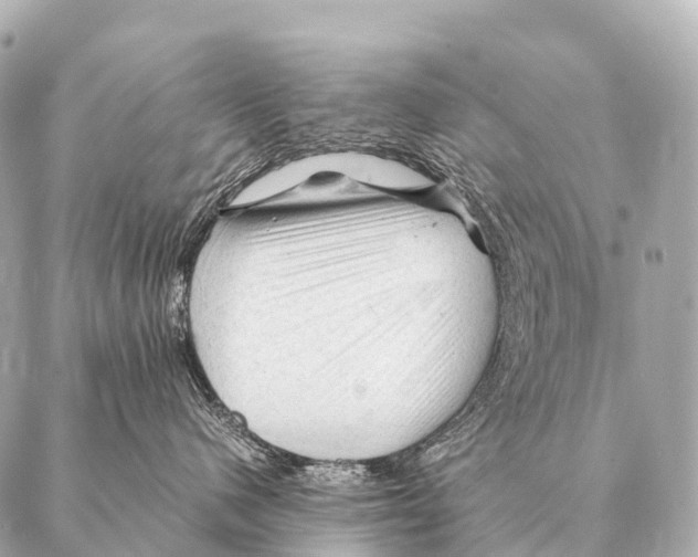 X0000087020480200705141901