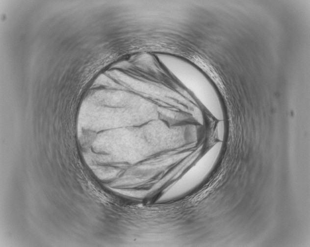 X0000087020481200705141900