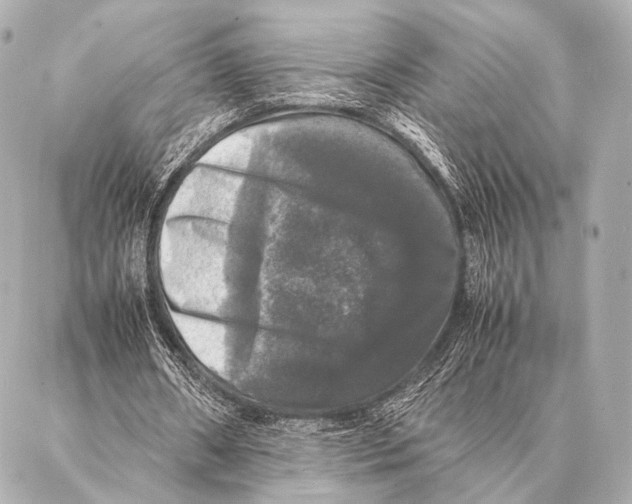 X0000087020482200705141900