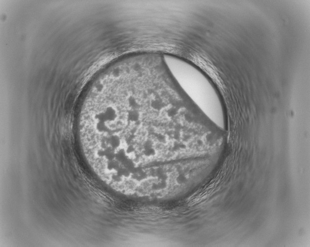 X0000087020483200705141900