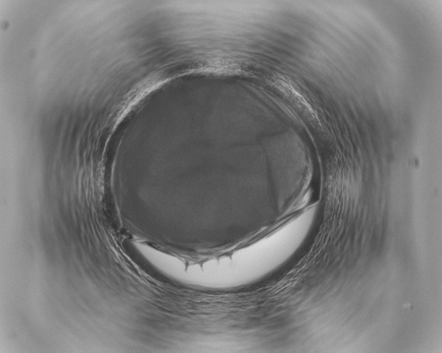 X0000087020484200705141900