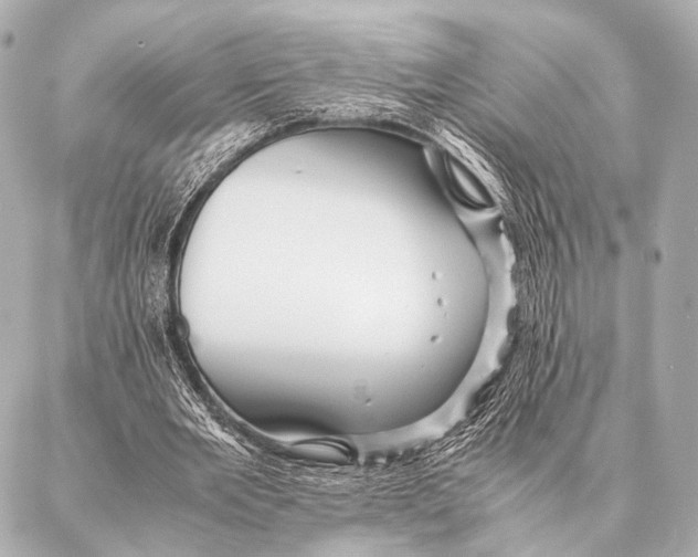 X0000087020485200705141900