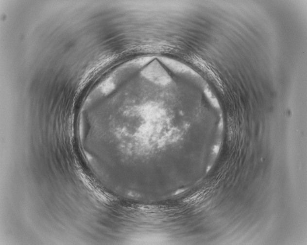 X0000087020486200705141900