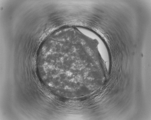 X0000087020487200705141900