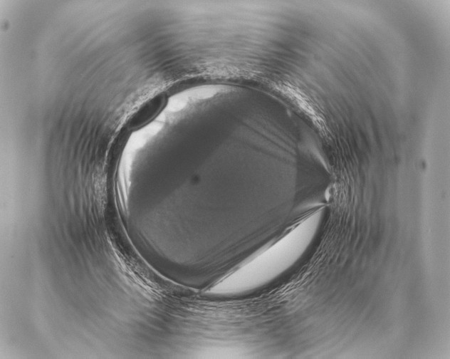 X0000087020488200705141900