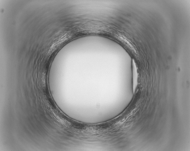 X0000087020489200705141900