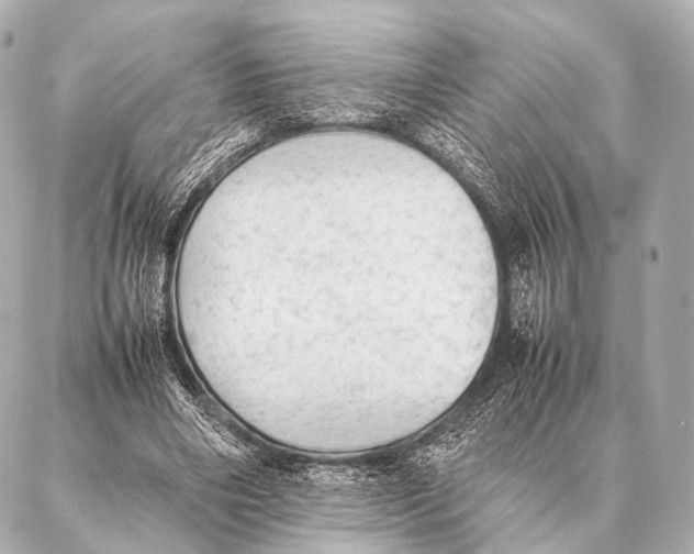 X0000087020490200705141900