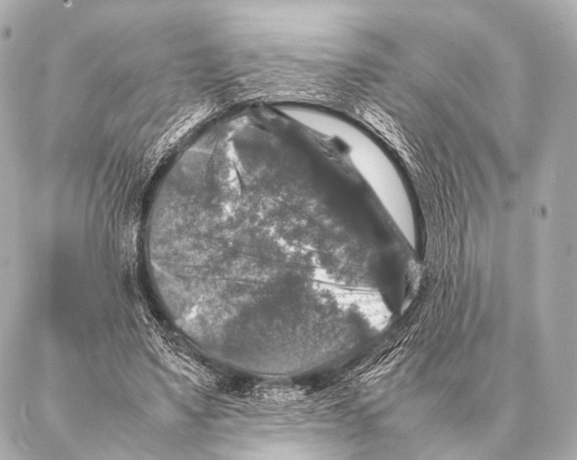 X0000087020491200705141900