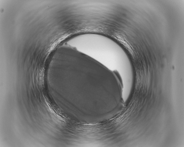 X0000087020492200705141900