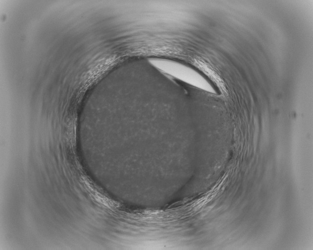 X0000087020493200705141900