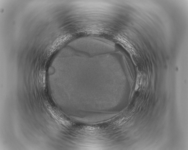 X0000087020494200705141900