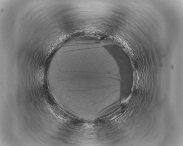 X0000087020496200705141900