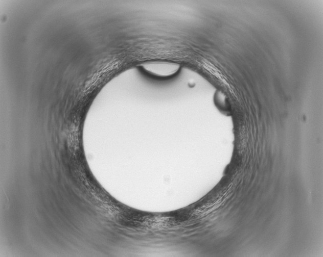 X0000087020497200705141900