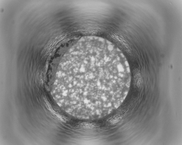 X0000087020498200705141900