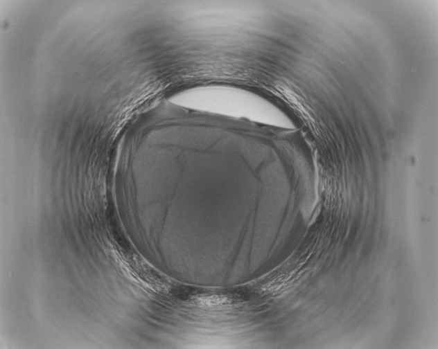 X0000087020500200705141900