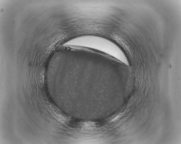 X0000087020501200705141900