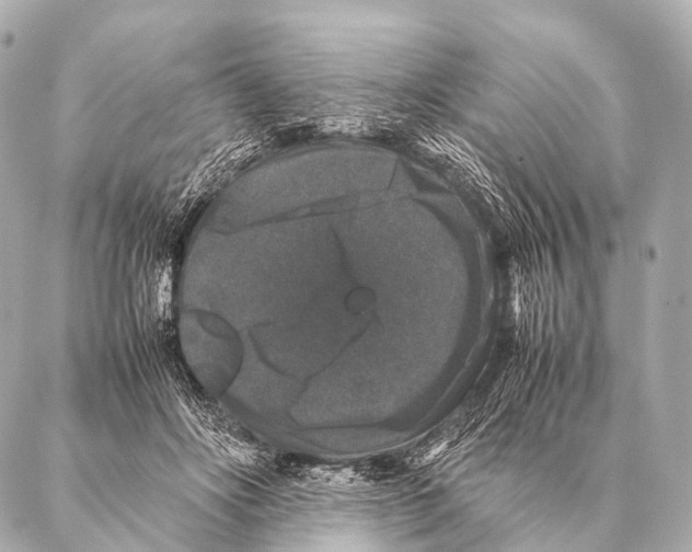 X0000087020502200705141900