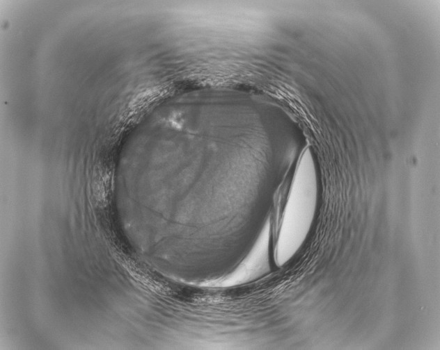 X0000087020503200705141900