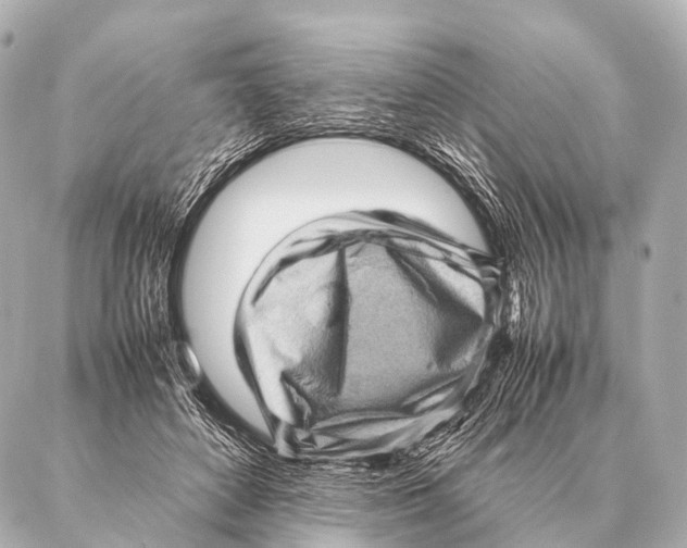 X0000087020504200705141900