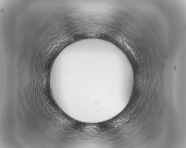 X0000087020505200705141900