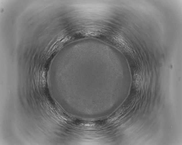 X0000087020506200705141900