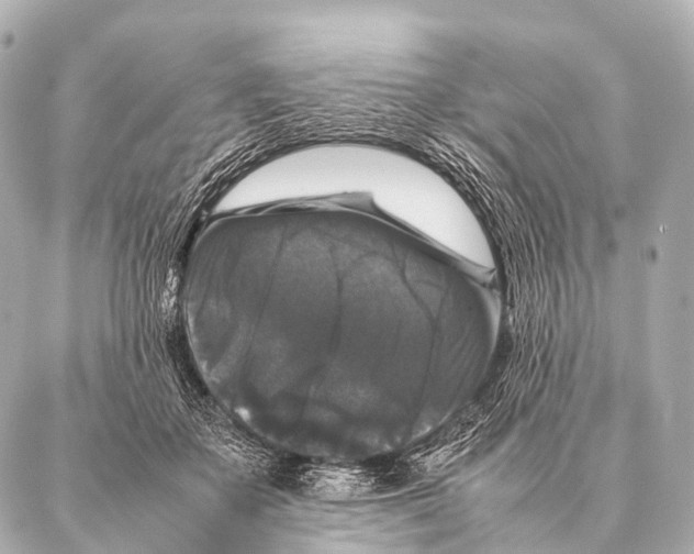 X0000087020507200705141900