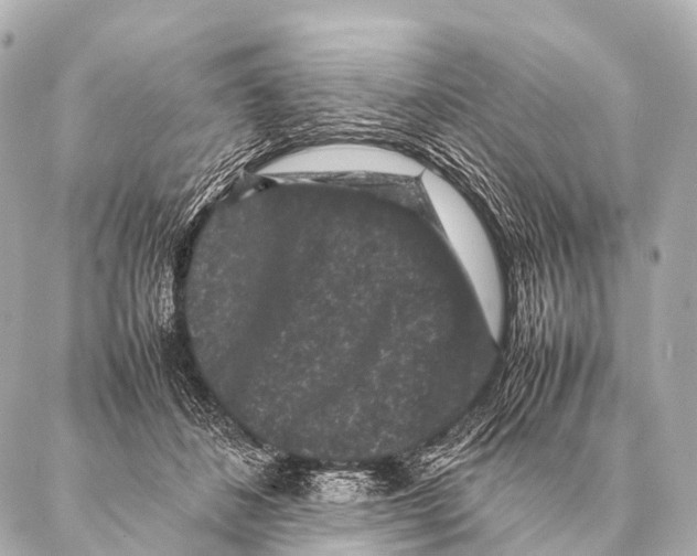 X0000087020508200705141900