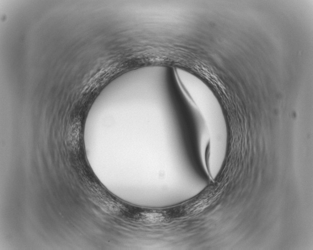 X0000087020509200705141900