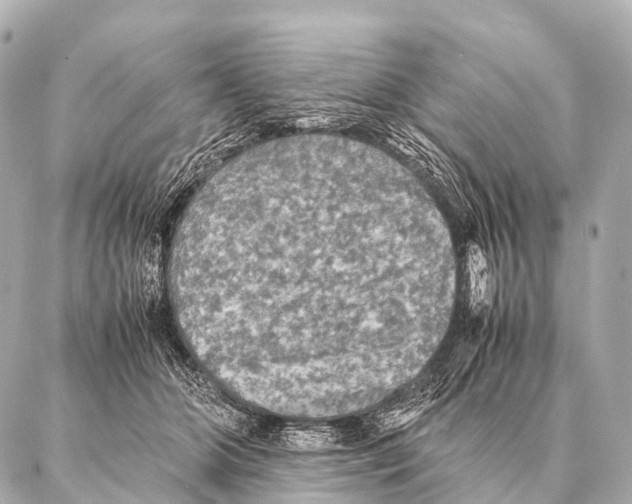 X0000087020510200705141900