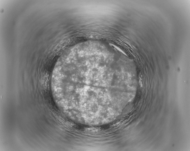 X0000087020511200705141900