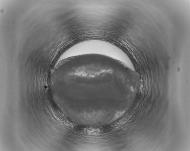 X0000087020512200705141900