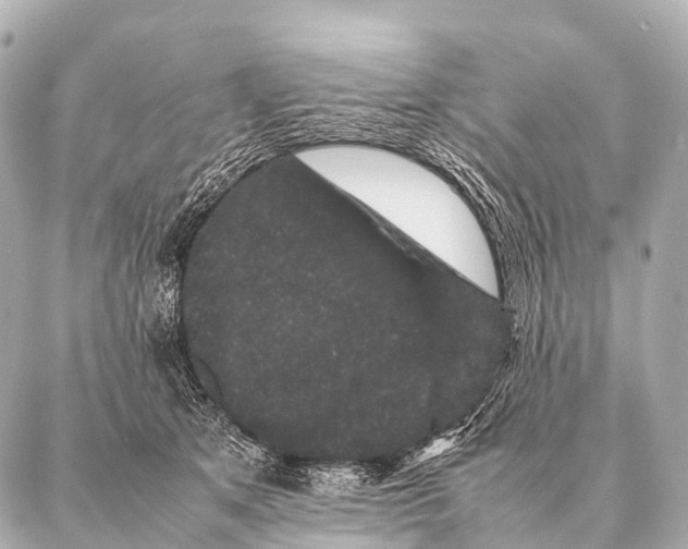 X0000087020513200705141900