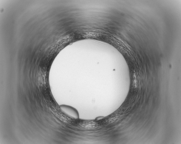 X0000087020514200705141900