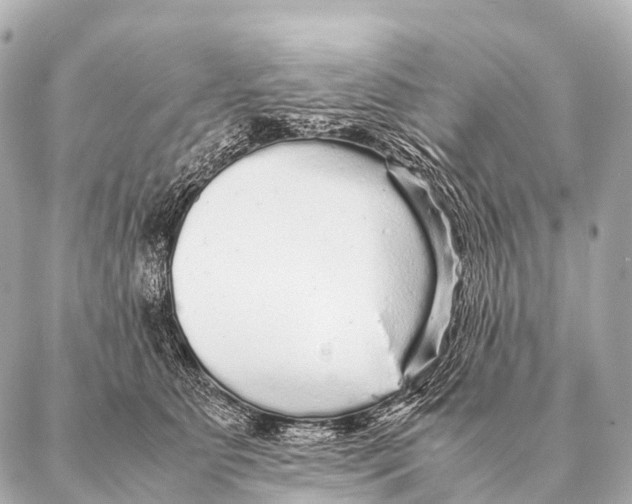 X0000087020515200705141900