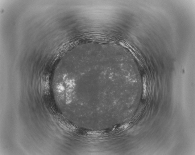 X0000087020516200705141900