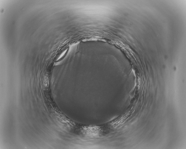 X0000087020517200705141900