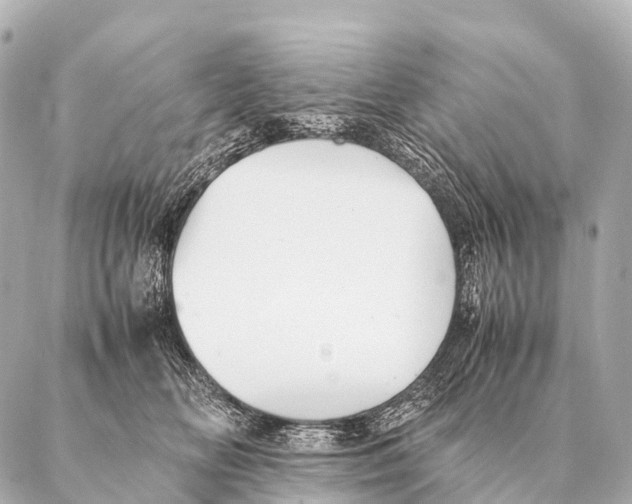 X0000087020518200705141900