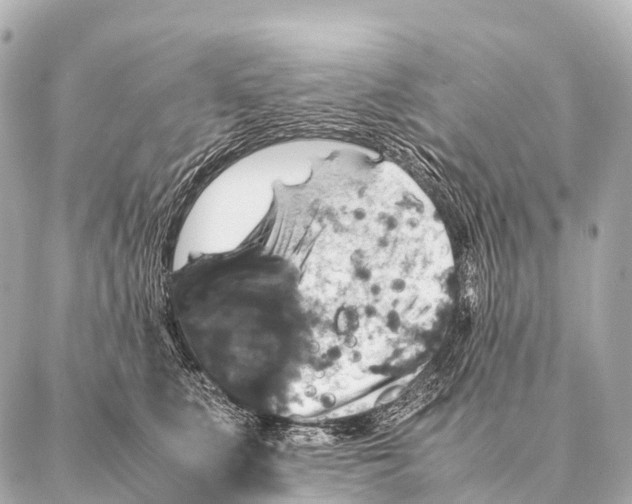 X0000087020519200705141900