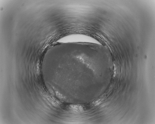 X0000087020520200705141859