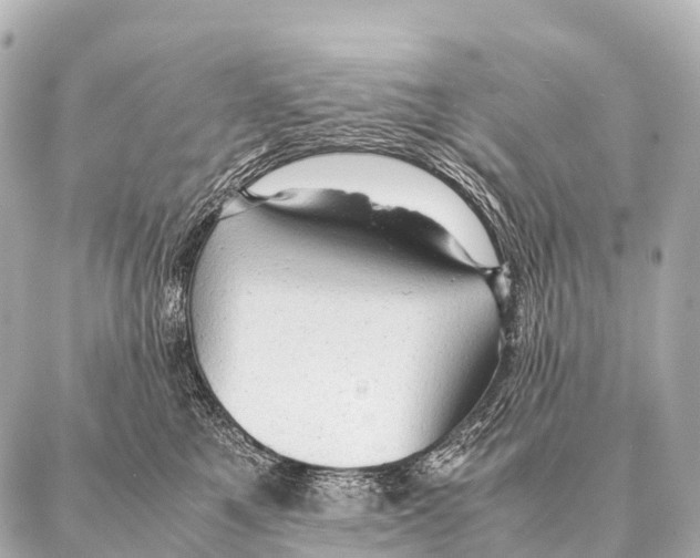 X0000087020521200705141859