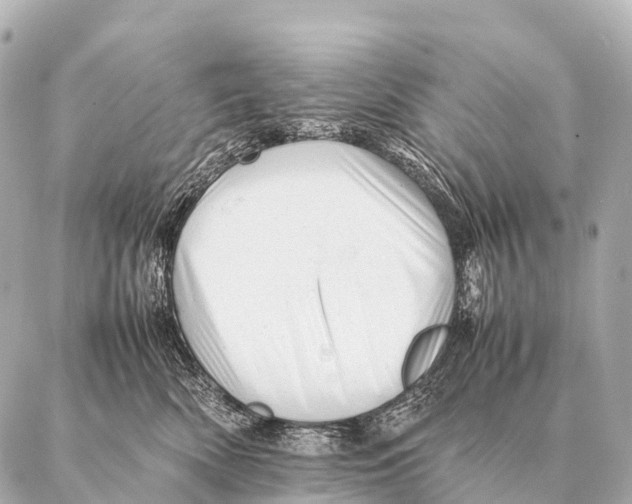 X0000087020522200705141859